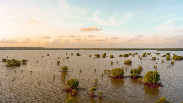 Assam Floods