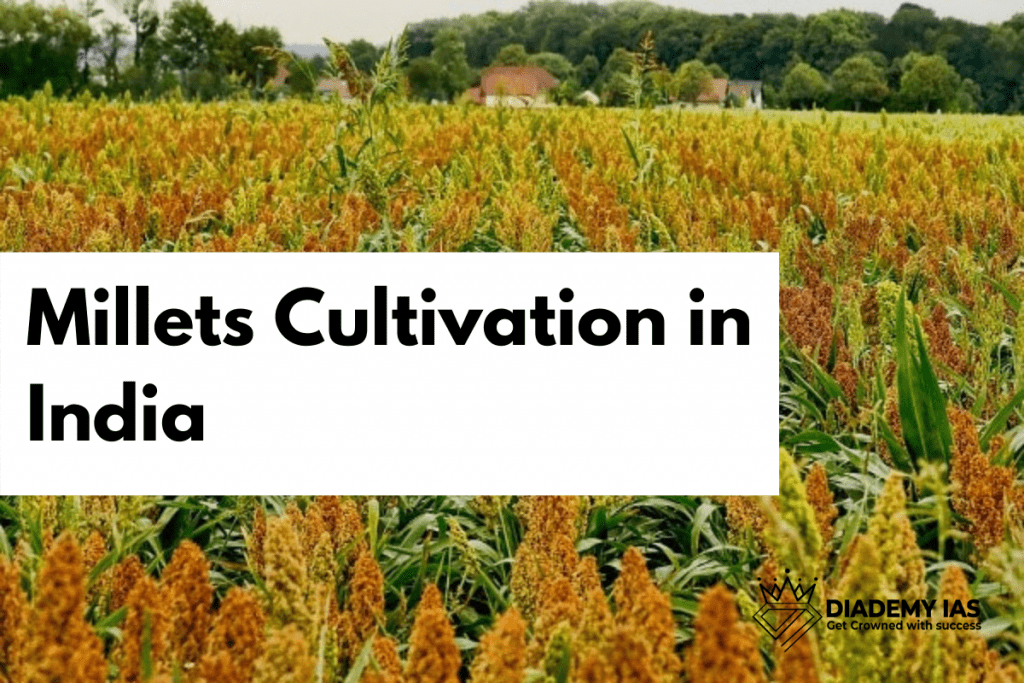Millets Cultivation in India